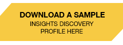 Download Insights Discovery Profile Here